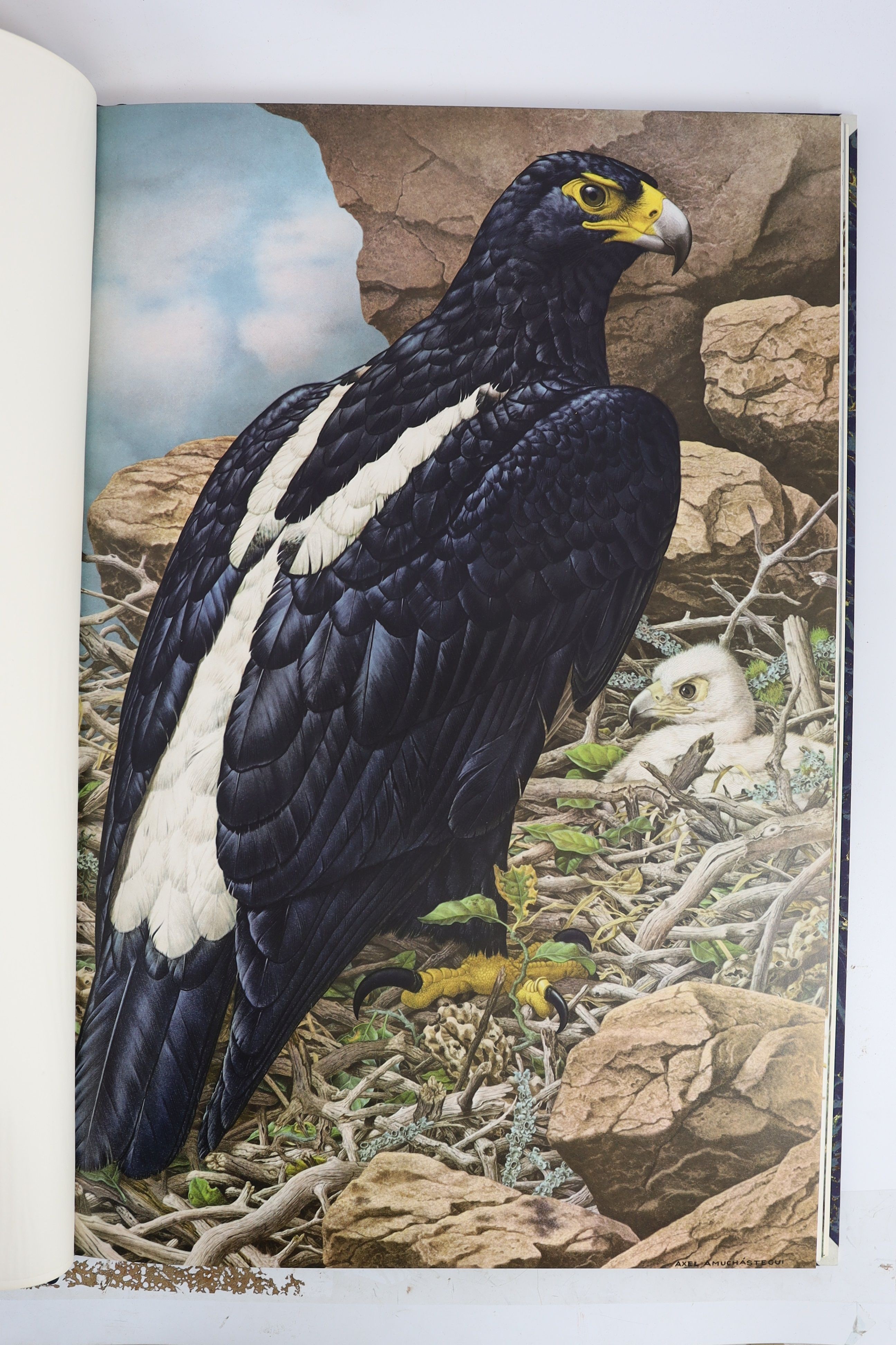 Amuchastegui, Axel - Some Birds and Mamals of Africa, one of 505 signed copies, folio, quarter morocco, illustrated with 14 colour plates by the author, Tryon Gallery, London, 1979, in slip case.